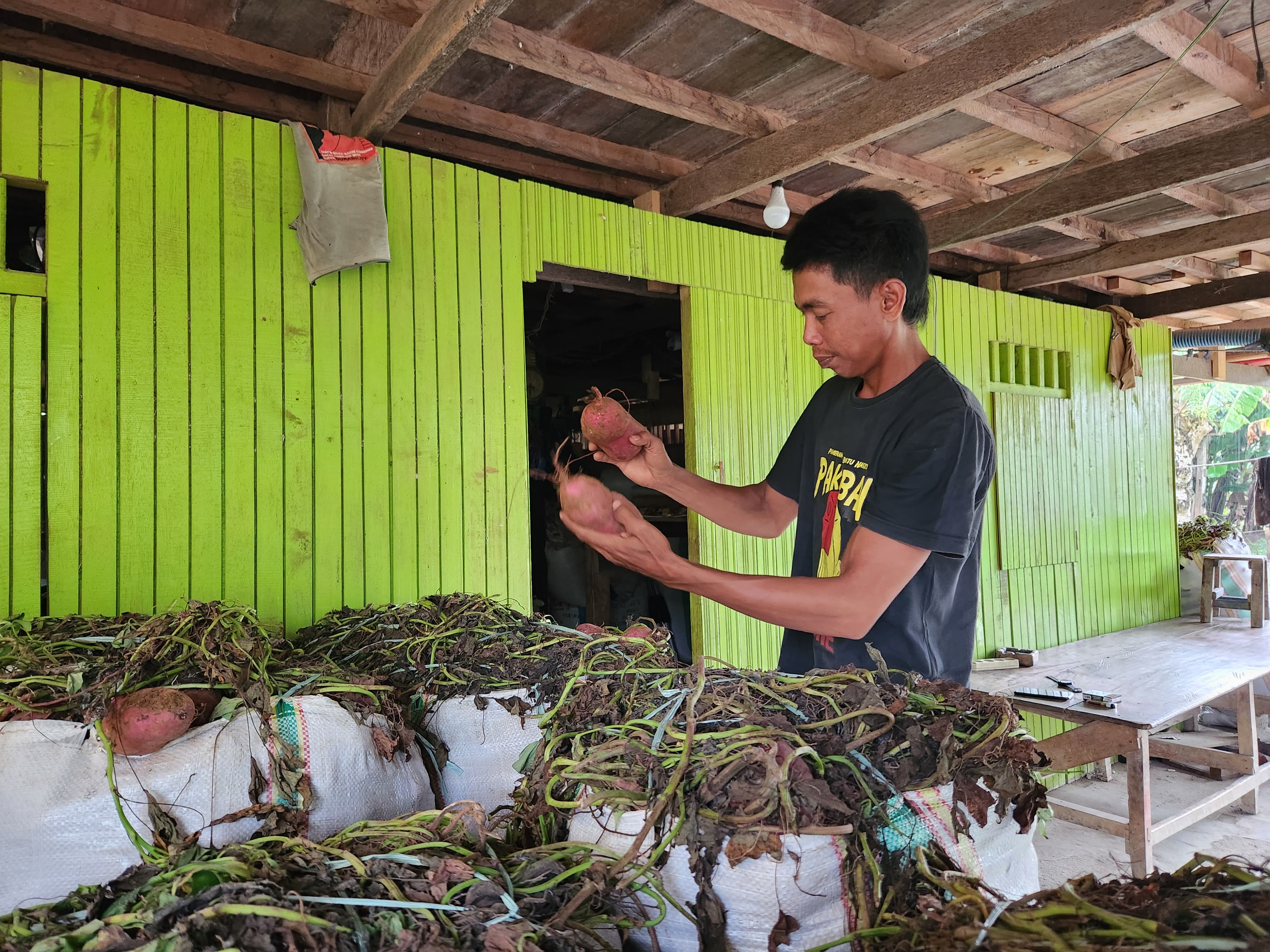 Muhammad Sabir (34), salah satu petani di Desa Matuju, Kecamatan Awangpone, Kabupaten Bone/FOTO: AGUNG - GOSULSEL